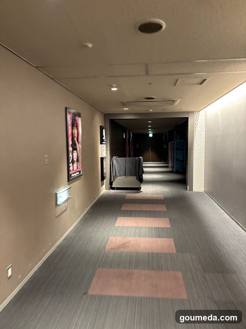 Corridor with Movie Posters and Carpeted Floor