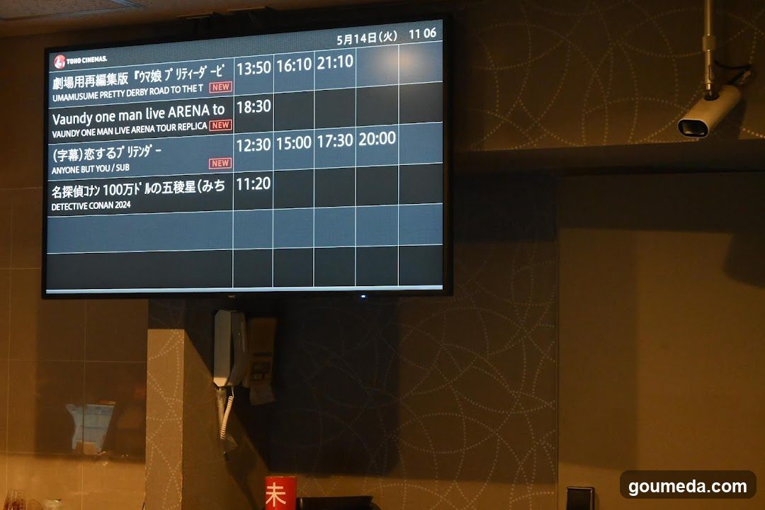 Movie Screening Schedule Display