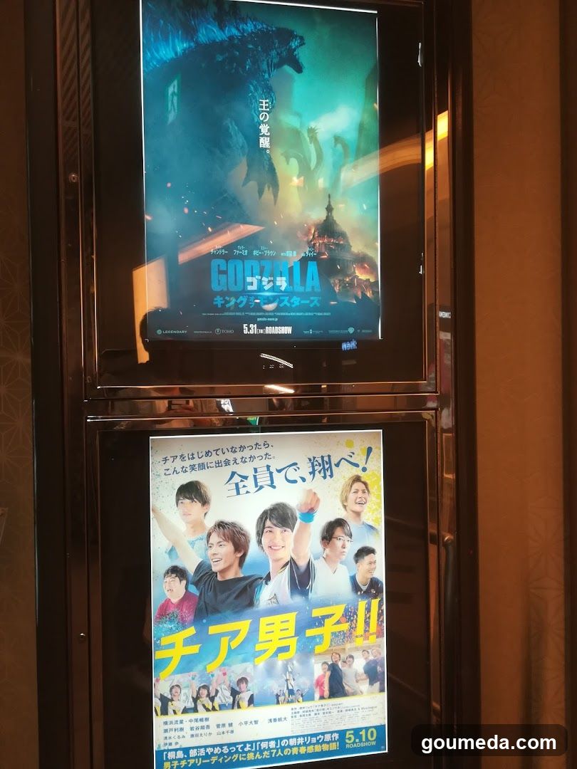 Movie Posters Display