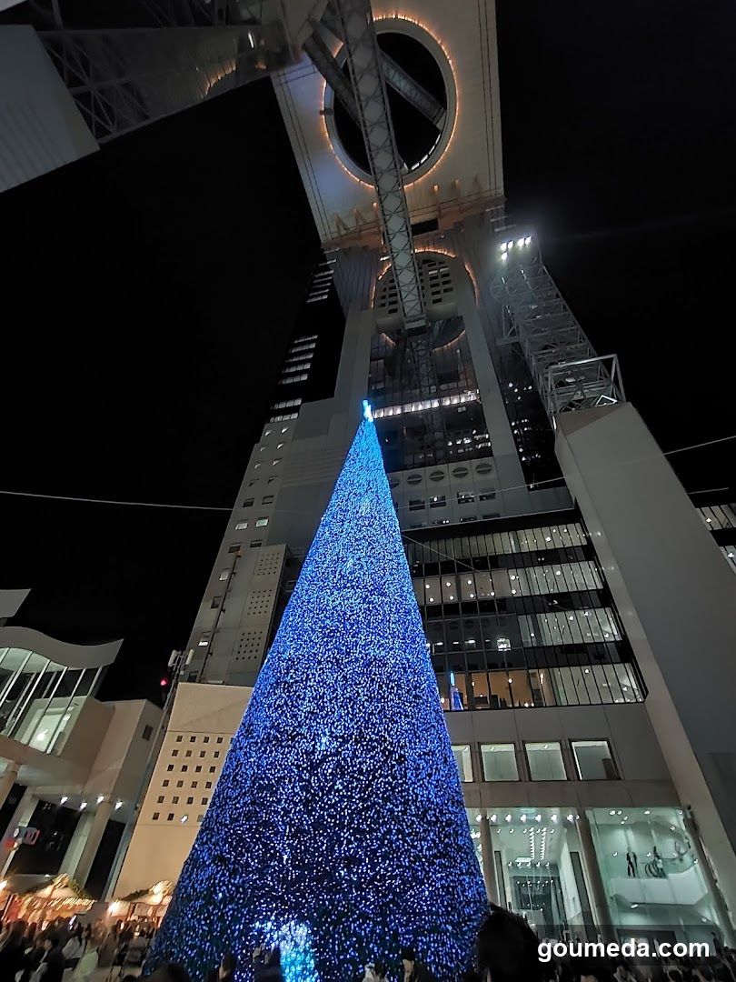 Night scene with illuminated Christmas tree and building facade