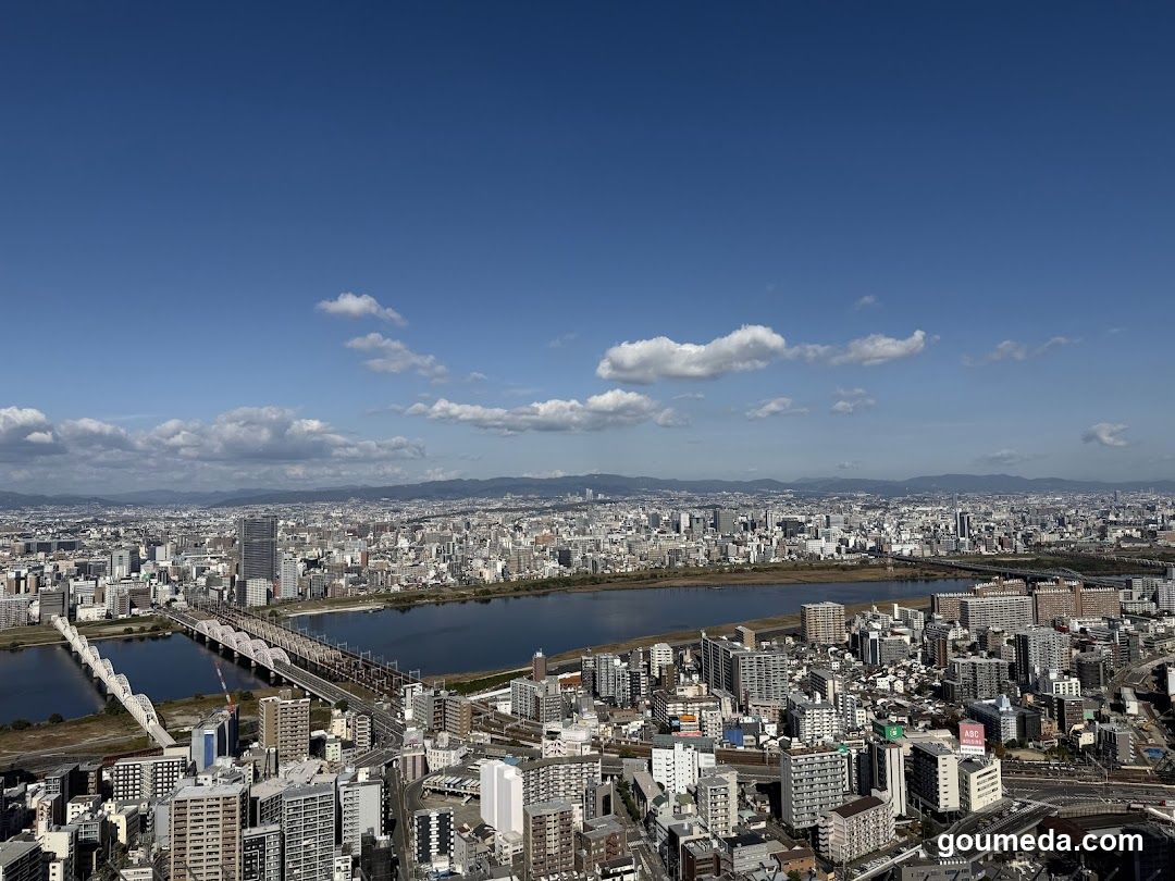 Cityscape with River and Skyline