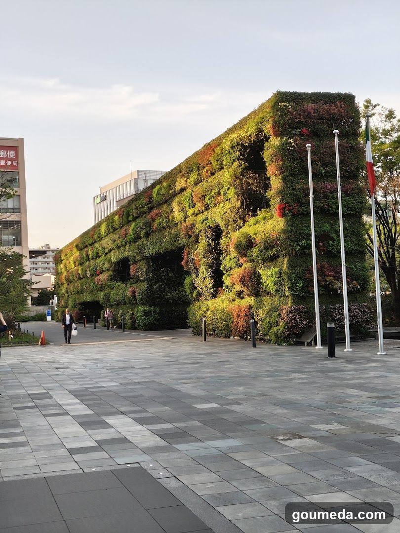 Vertical Garden Wall