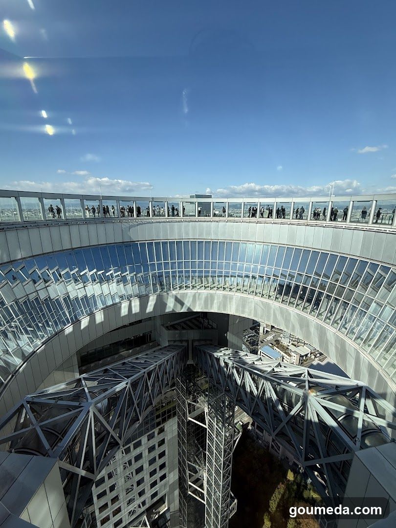 Skyline View from Observation Deck