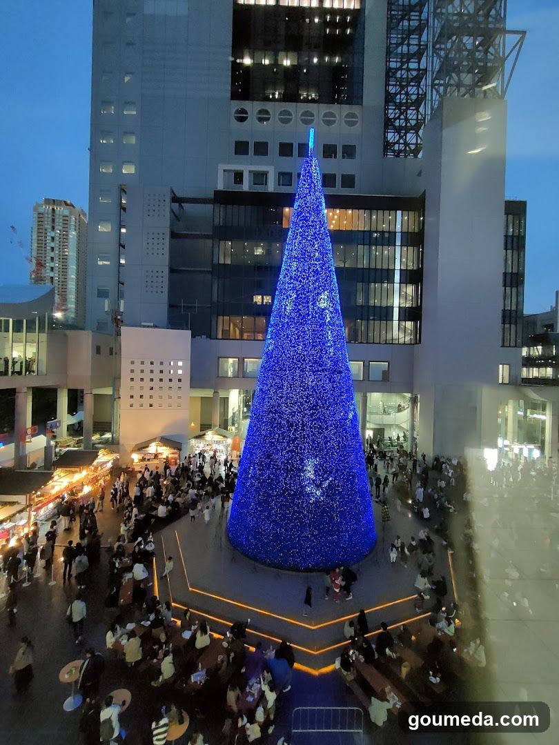 Blue Christmas Tree at Night