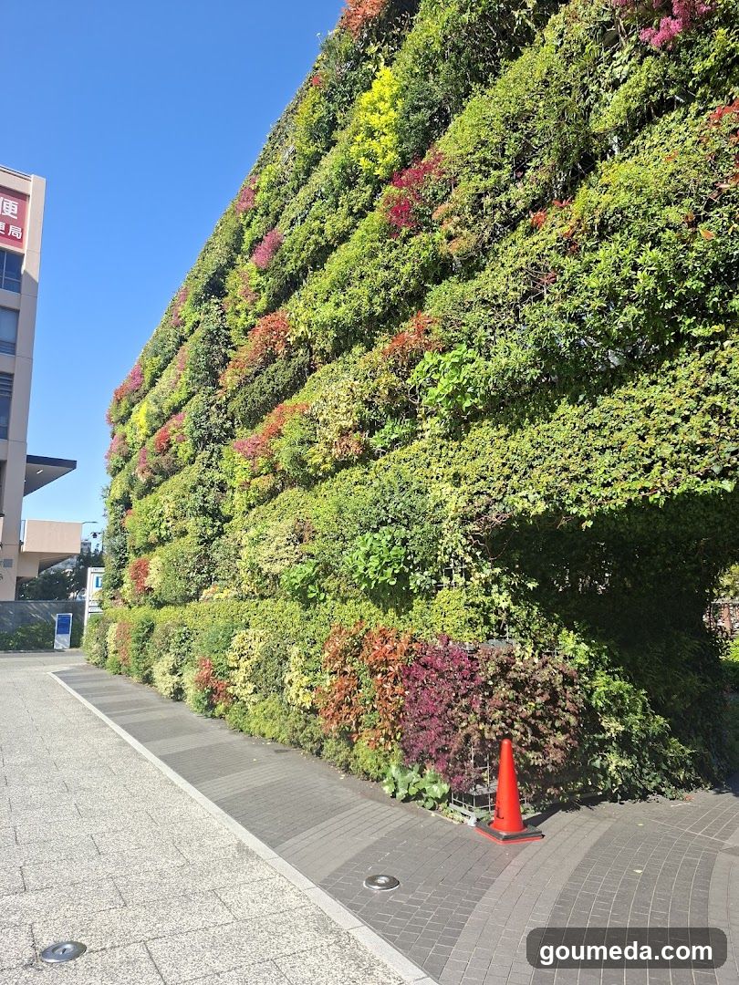 Vertical Garden Wall