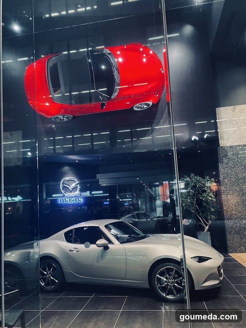 Car Showroom Interior Display