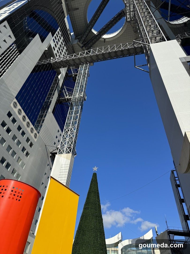 Modern Architecture with Christmas Tree