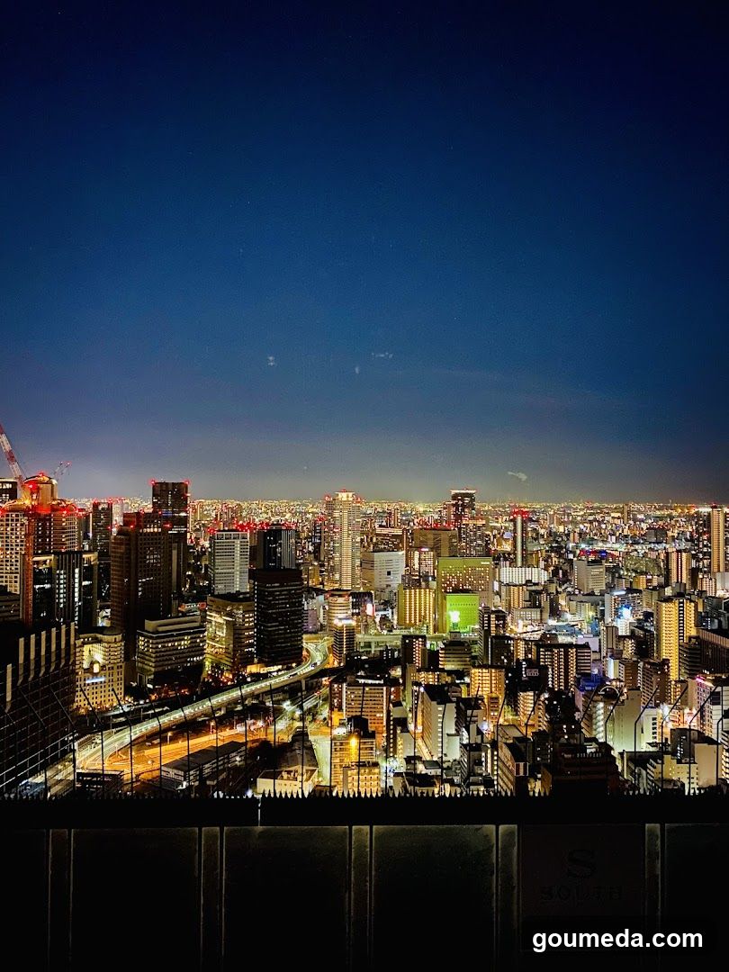 Night Cityscape View