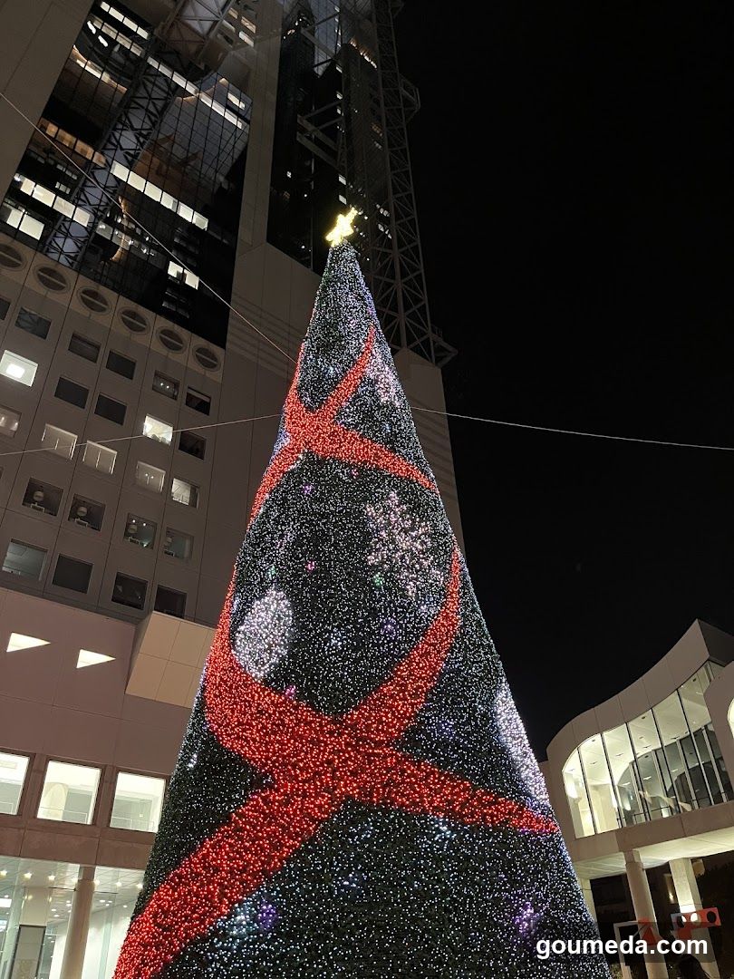 Christmas Tree at Night