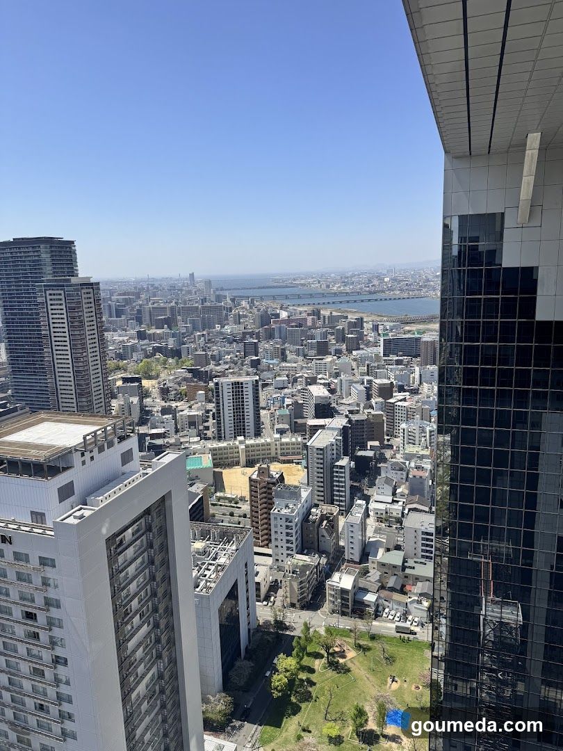 Cityscape View from High Building