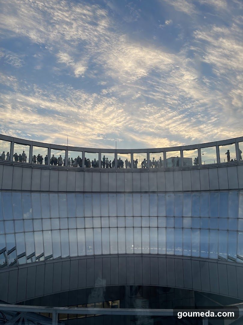 Skyline View from Observation Deck