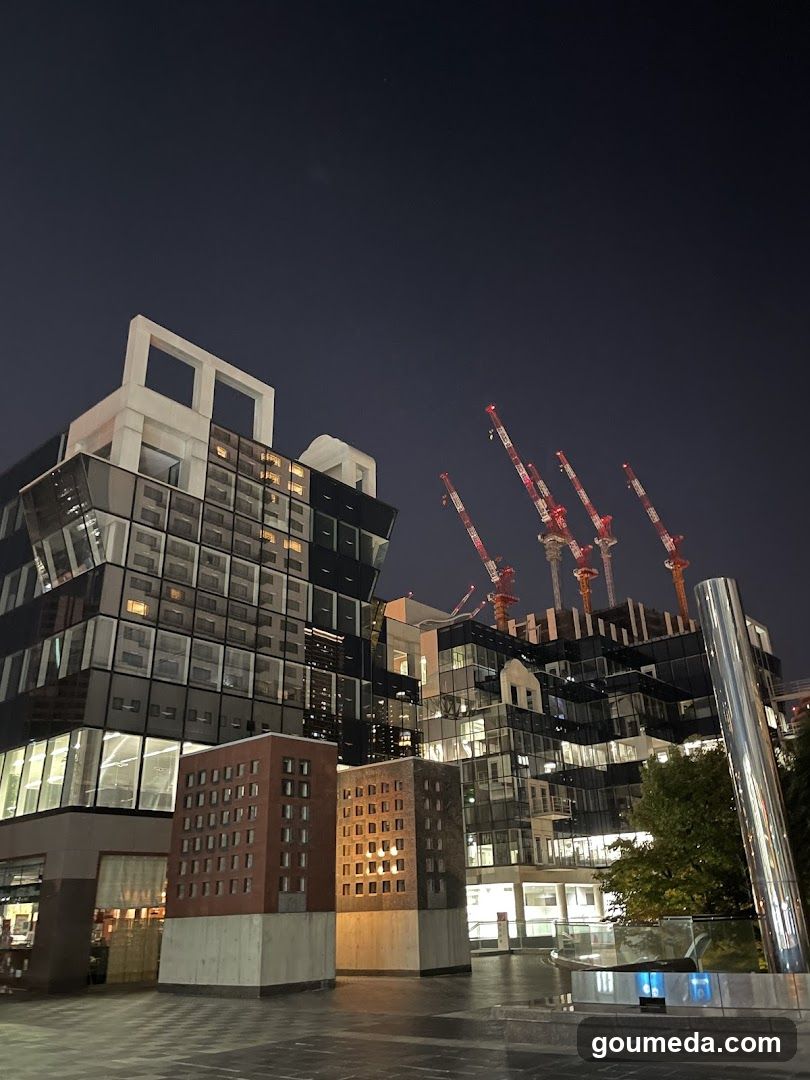 Night Cityscape with Construction Cranes