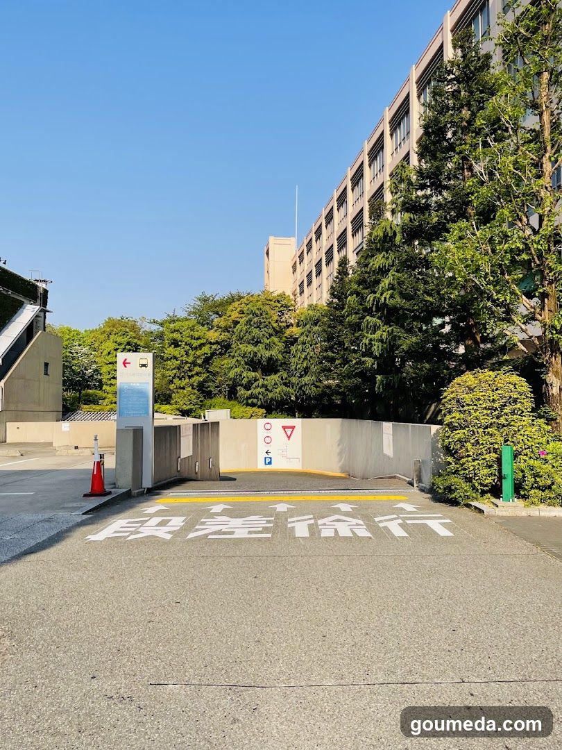 Entrance to a parking area or building access