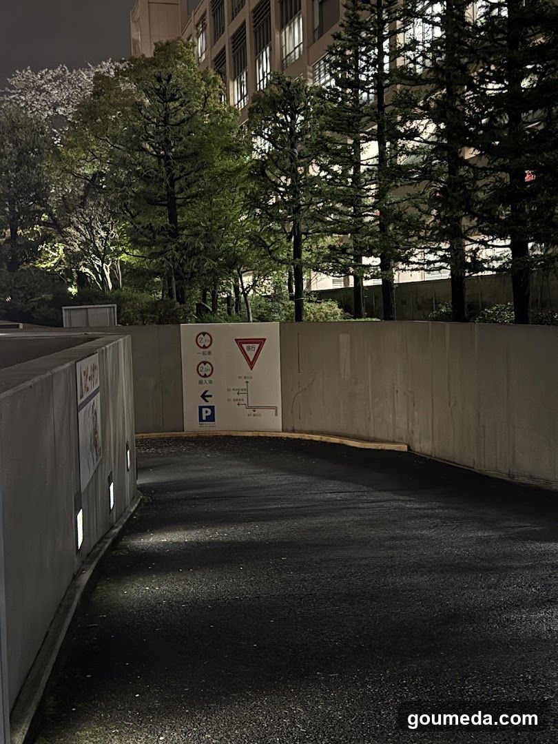 Nighttime Parking Entrance