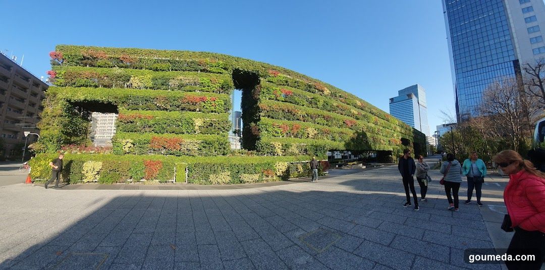 Green Wall Structure in Urban Setting
