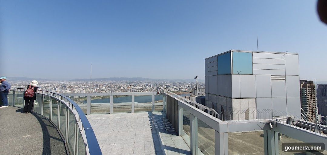 Rooftop View of Cityscape