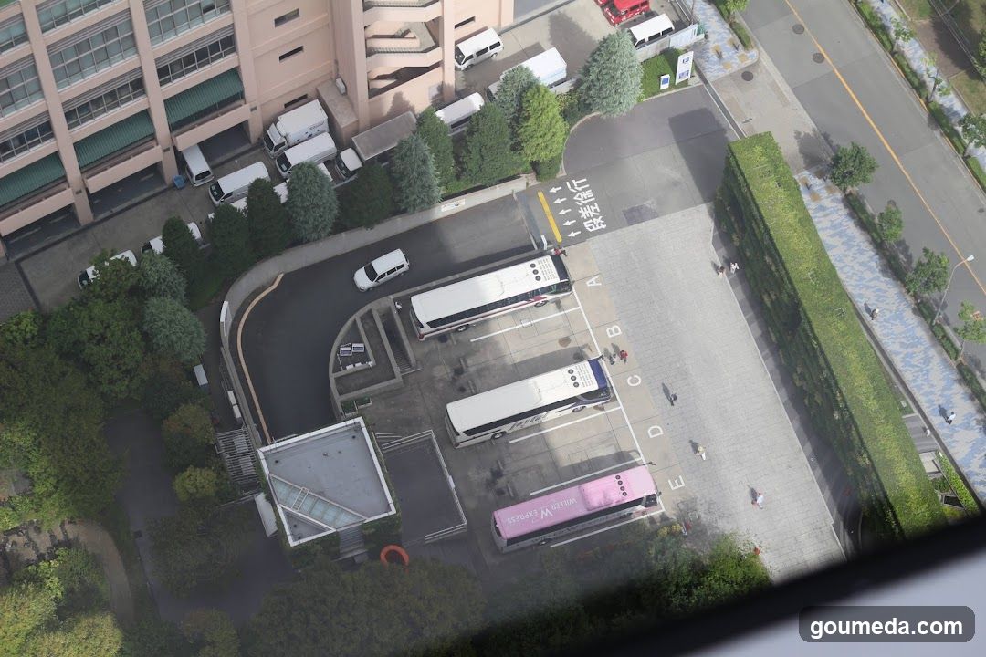Aerial view of parking lot with buses and cars