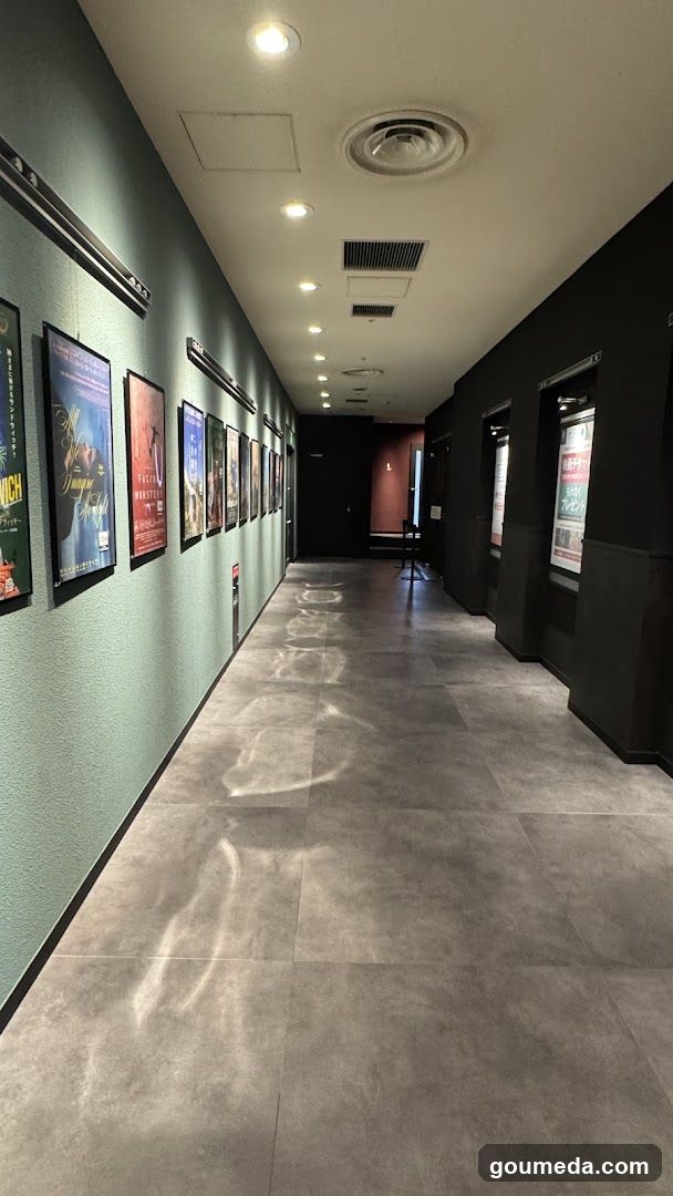 Movie Theater Corridor