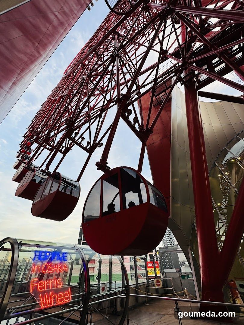 Osaka Ferris Wheel View