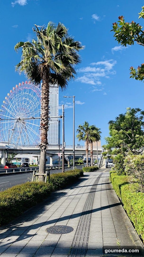 Palm-lined sidewalk with Ferris wheel in background
