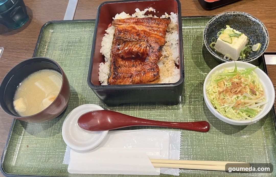 Eel Rice Bowl Meal