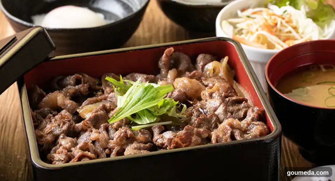 Japanese Beef Bowl with Side Dishes