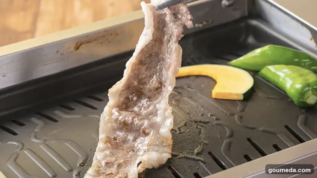 Grilled Meat and Vegetables