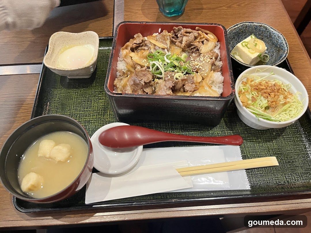 Japanese Lunch Set
