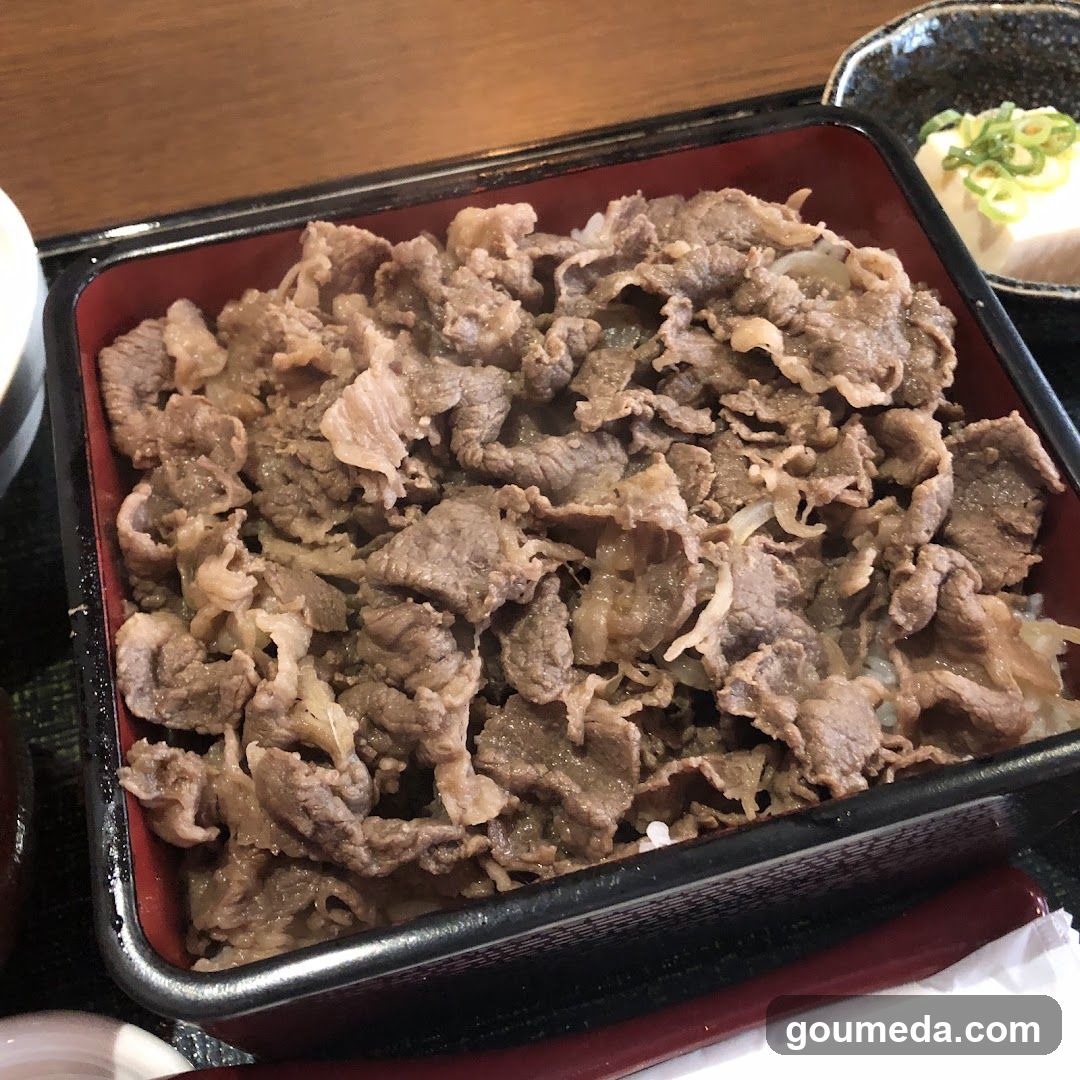 Beef Rice Bowl