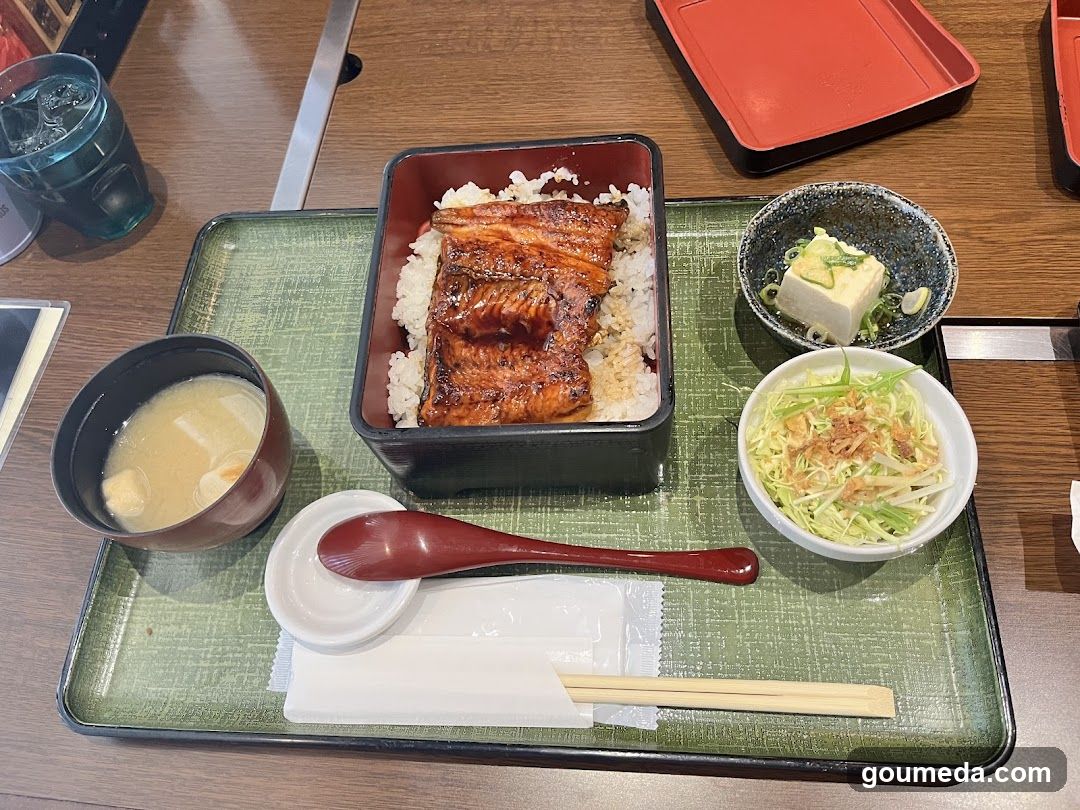 Eel Rice Bowl Meal