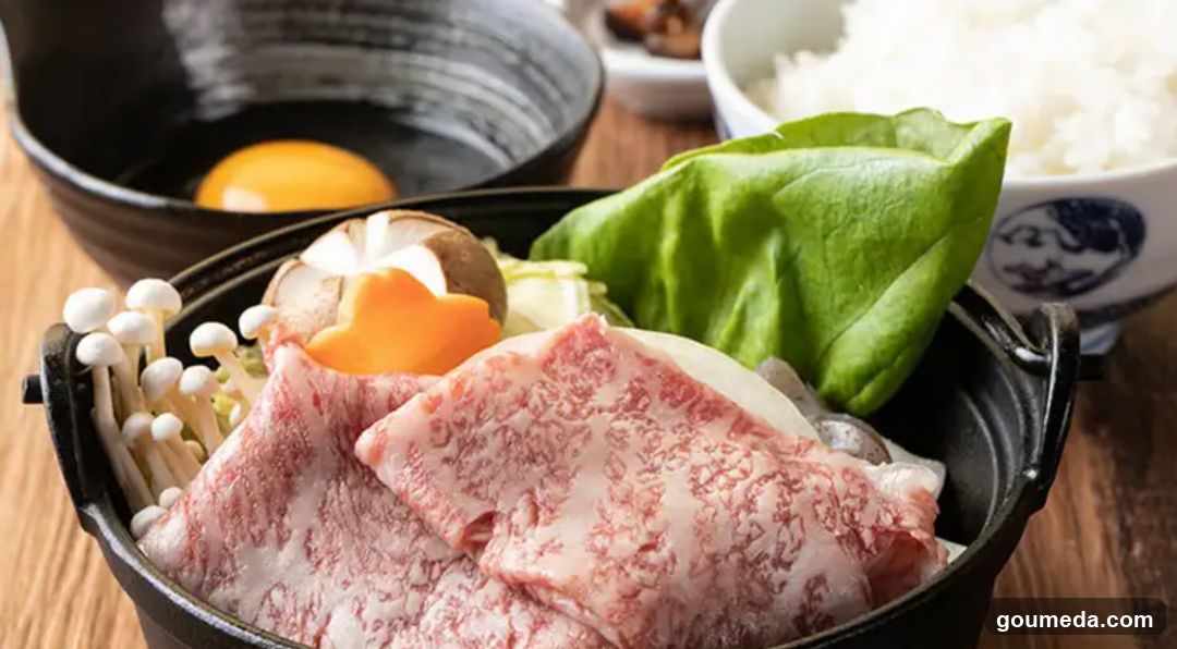 Japanese Hot Pot Meal