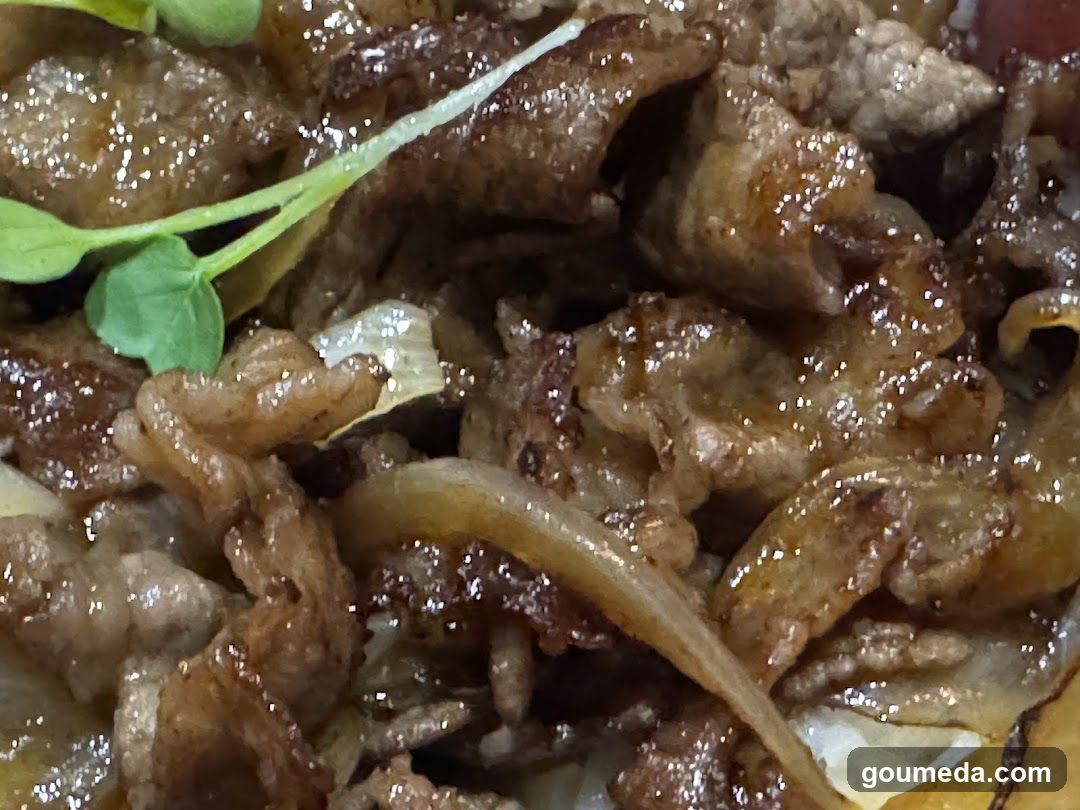 Sizzling Meat Dish
