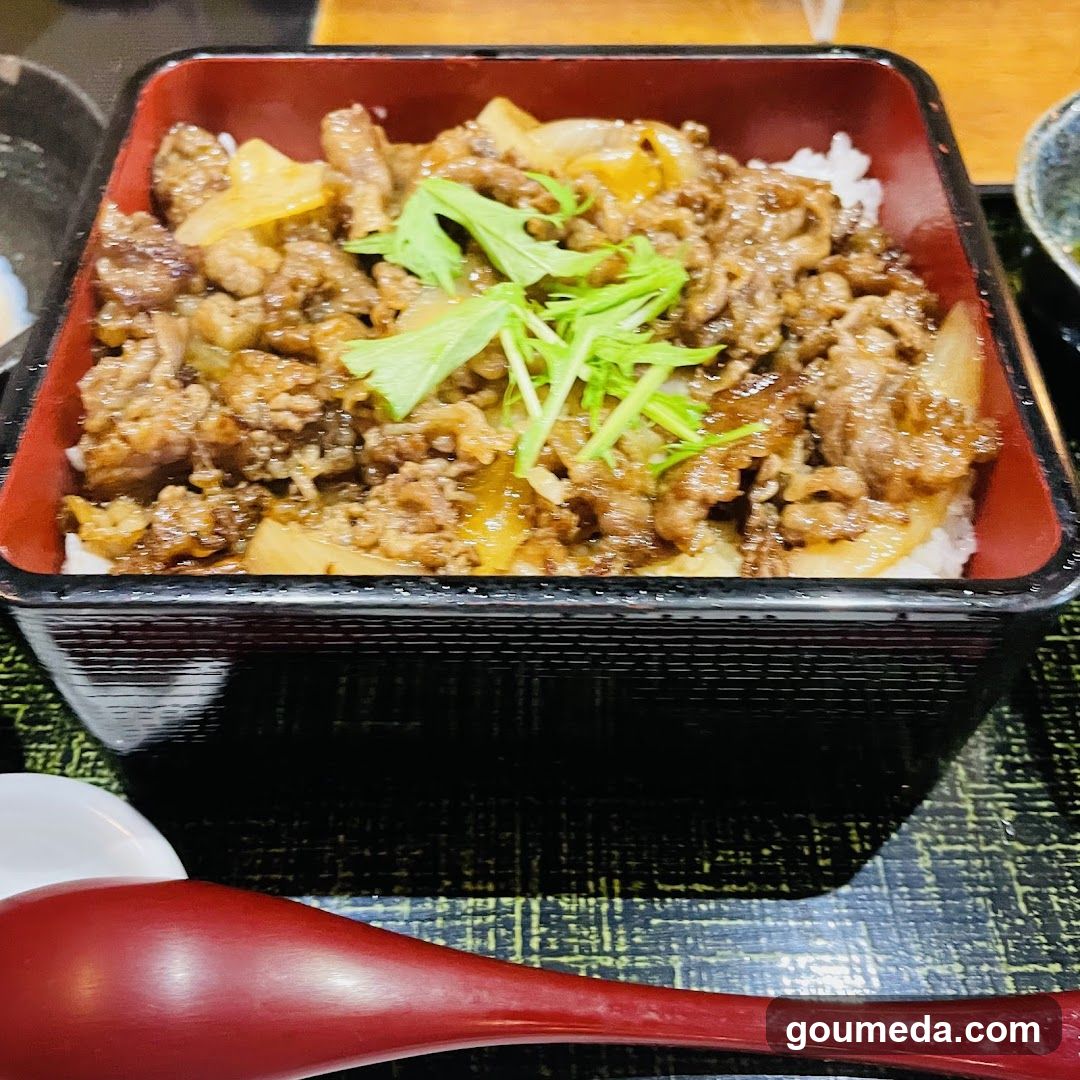 Bowl of Beef and Onion Rice