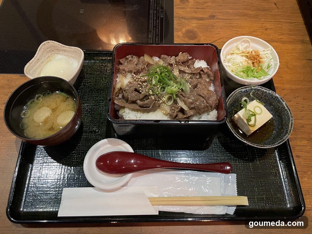 Japanese Lunch Set