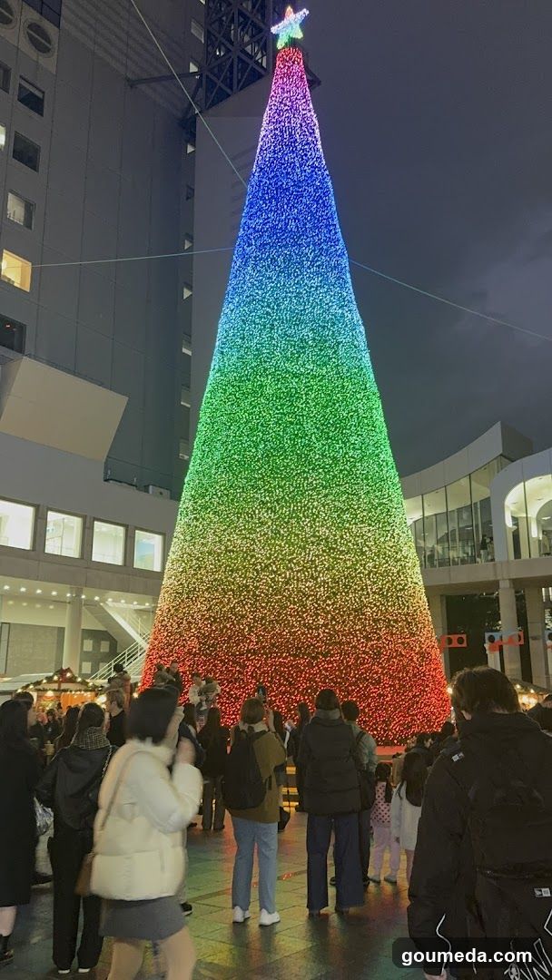 Rainbow Christmas Tree at Night