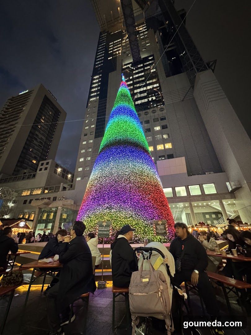 Christmas Tree at Night