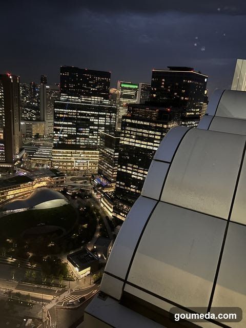 Night Cityscape View from High Building