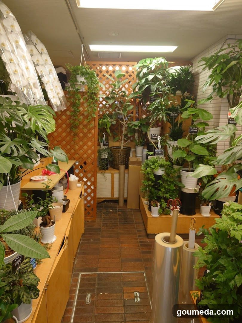 花直園芸