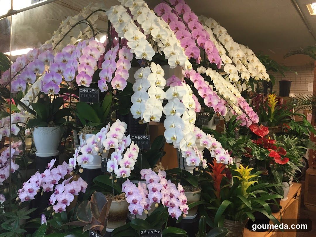 花直園芸