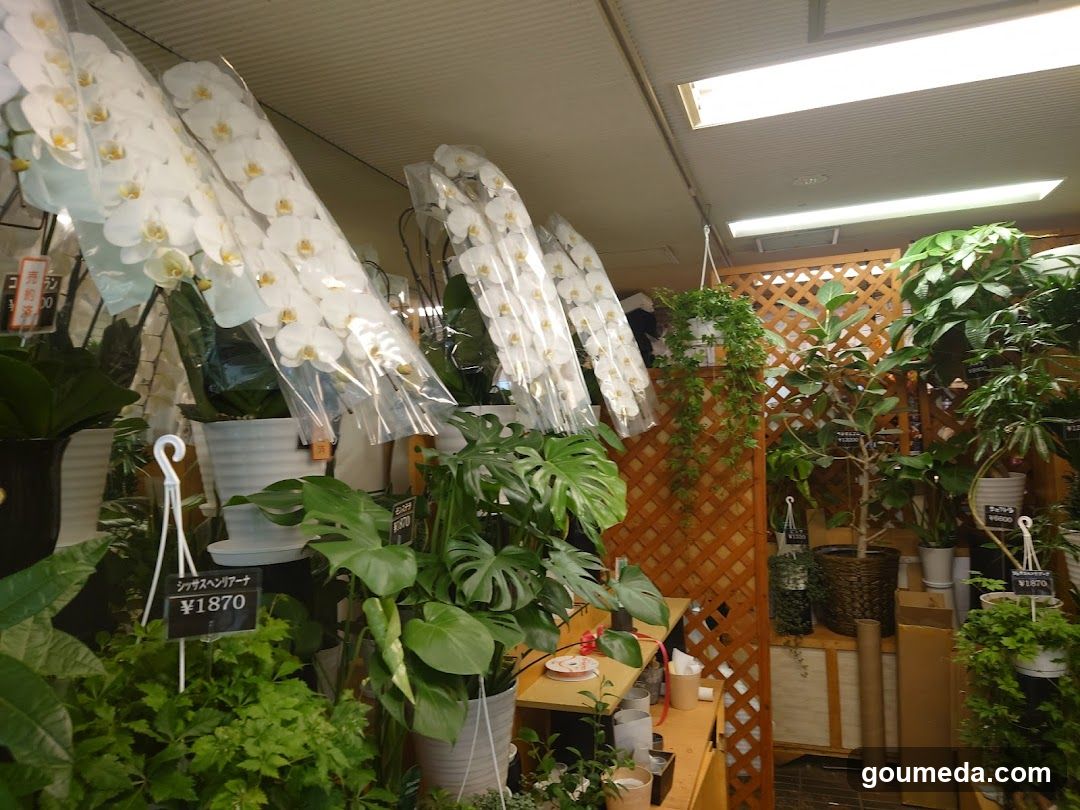 花直園芸
