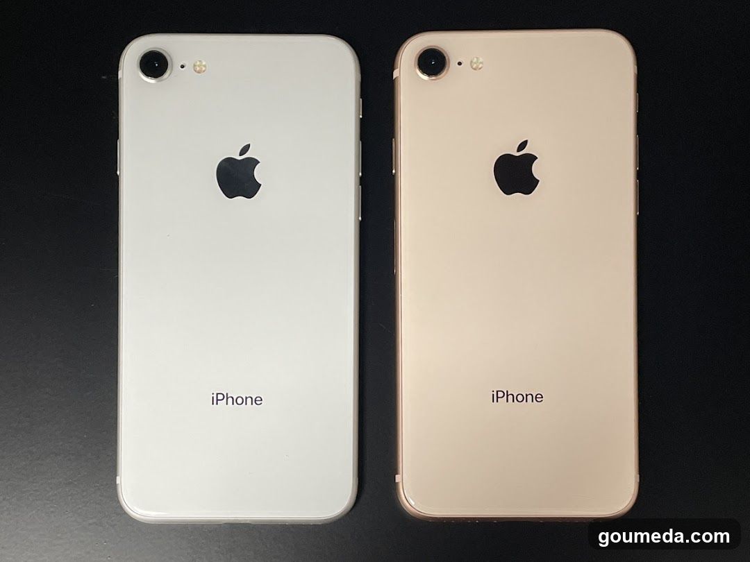 iPhone Back Views